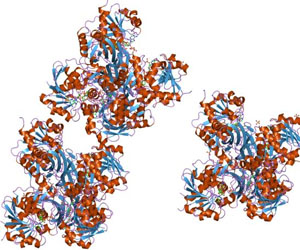 PDB 2pkr EBI by Jawahar Swaminathan