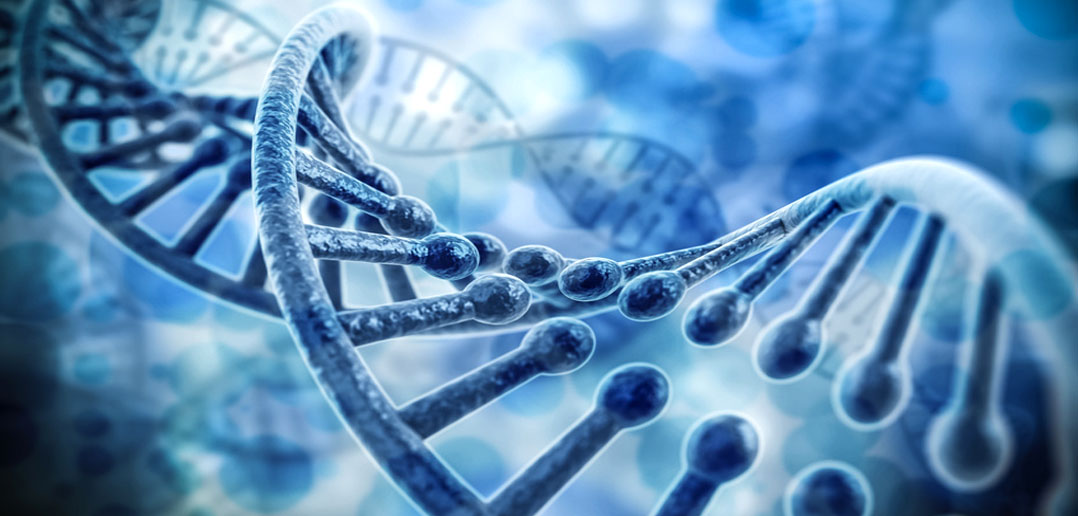 Is alzheimer s a sex linked trait