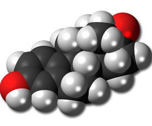 Estrone molecule
