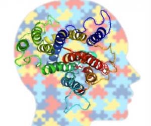DNA proteins in head by Kalyan Kondapalli and Rajini Rao