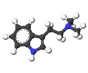 Dimethyltryptamine molecule