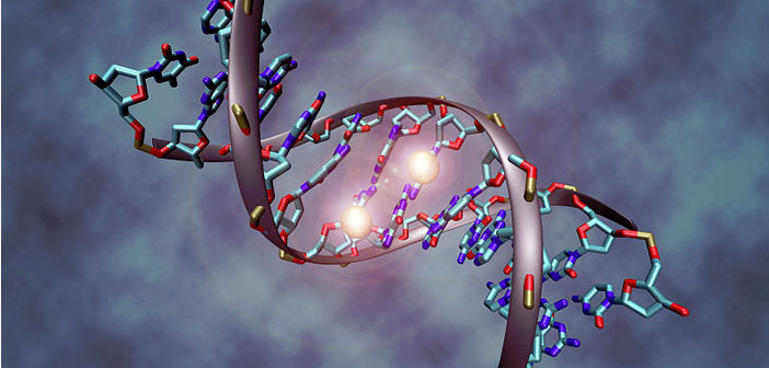Common Gene Variants Account For Most >> Common Gene Variants Account For Most Genetic Risk For Autism Common Gene Variants Account For Most >> Common Gene Variants Account For Most Genetic Risk For Autism