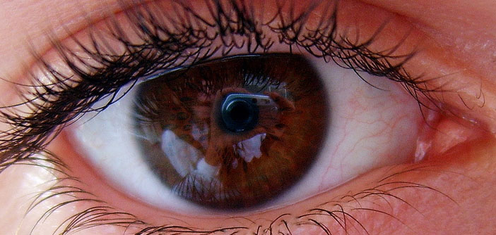 Photo credit: Dan Foy (Creative Commons)