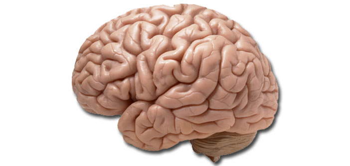 Is It Adhd Or Trauma >> Study Finds Adhd And Trauma Often Go Hand In Hand Is It Adhd Or Trauma >> Study Finds Adhd And Trauma Often Go Hand In Hand