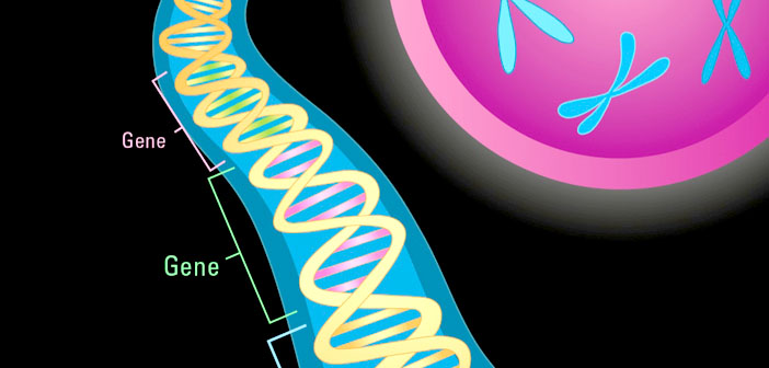 Autism Genes Identified Using New >> Dozens Of Genes Associated With Autism In New Research Autism Genes Identified Using New >> Dozens Of Genes Associated With Autism In New Research