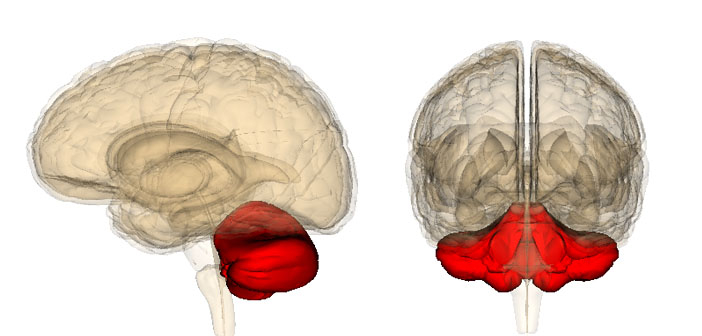 Photo credit: Life Science Databases (Creative Commons)