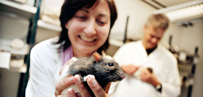 Photo credit: Faculty of Medicine NTNU (Creative Commons)