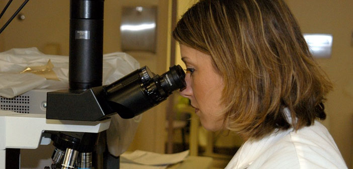 Researchers Identify New Autism Blood >> Blood Based Genetic Biomarkers Identify Young Boys With Autism Researchers Identify New Autism Blood >> Blood Based Genetic Biomarkers Identify Young Boys With Autism