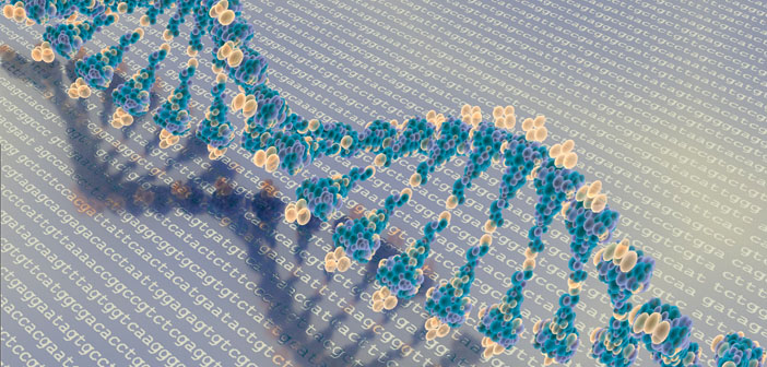 Family Genetics Study Reveals New Clues >> Family Genetics Study Reveals New Clues To Autism Risk Family Genetics Study Reveals New Clues >> Family Genetics Study Reveals New Clues To Autism Risk