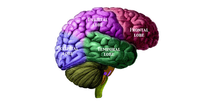 Molecular Network Identified Underlying >> Molecular Network Identified Underlying Autism Spectrum Disorders Molecular Network Identified Underlying >> Molecular Network Identified Underlying Autism Spectrum Disorders