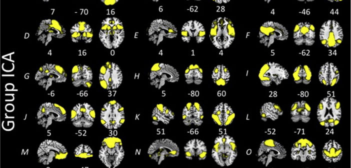 Discovering Age Specific Brain Changes >> Discovering Age Specific Brain Changes In Autism Discovering Age Specific Brain Changes >> Discovering Age Specific Brain Changes In Autism