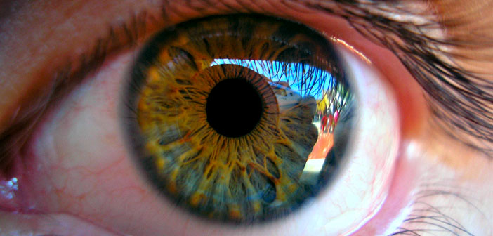 Our eyes multi-task even when we don't want them to, researchers find