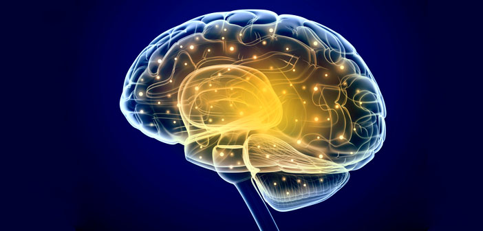 Brain Pumber