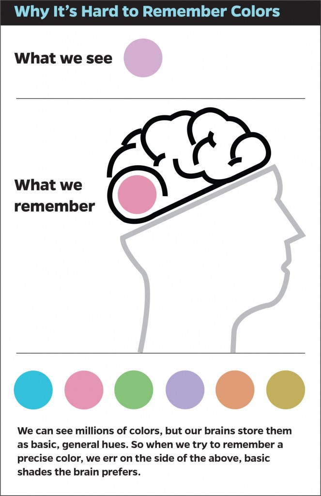 We can see millions of colors, but our brains store memories of those colors as basic, general hues. (Credit: Royce Faddis/JHU)