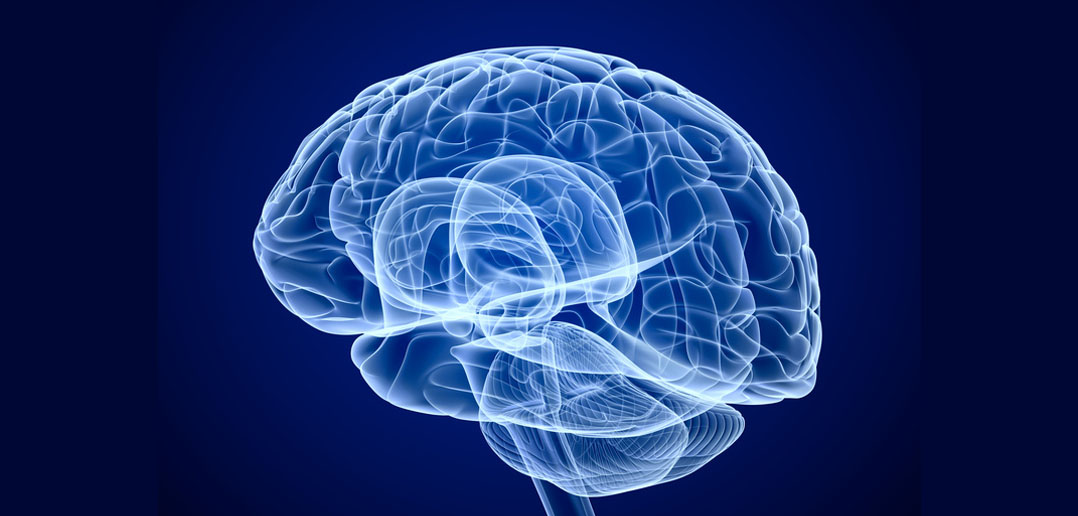 www.psypost.org