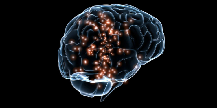 https://www.psypost.org/wp-content/uploads/2015/07/Brain-image-by-DARPA-750x375.jpg