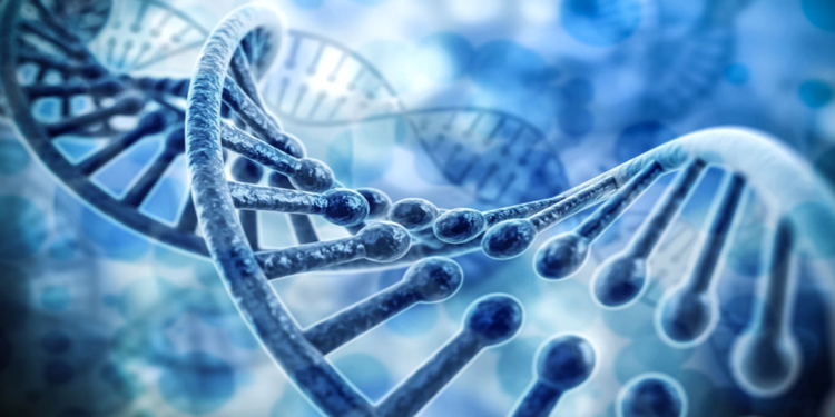 Photo credit: DigitalGenetics/Fotolia