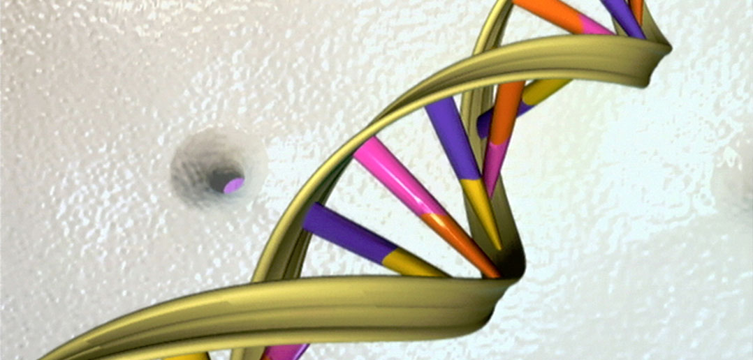 Genetics play role in character traits related to academic success, study says