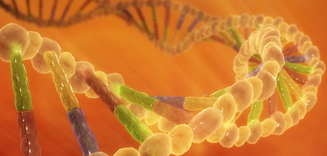 Neuroscientists Illuminate Role Of >> Neuroscientists Illuminate Role Of Autism Linked Gene Neuroscientists Illuminate Role Of >> Neuroscientists Illuminate Role Of Autism Linked Gene