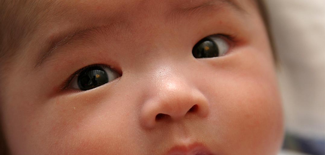 Infants at risk for autism rely on more information from the head when
