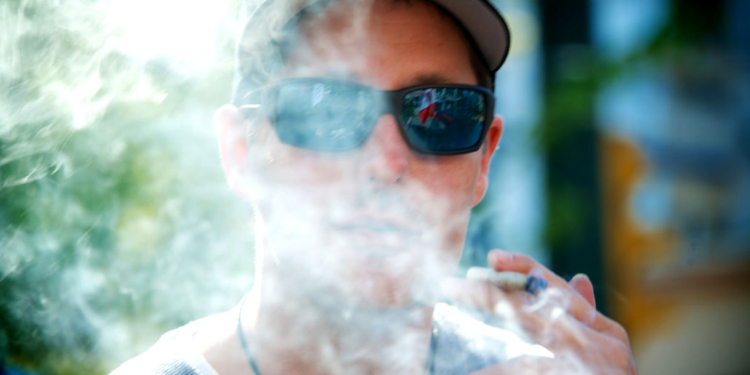 Photo credit: Danny Kresnyak/Cannabis Culture