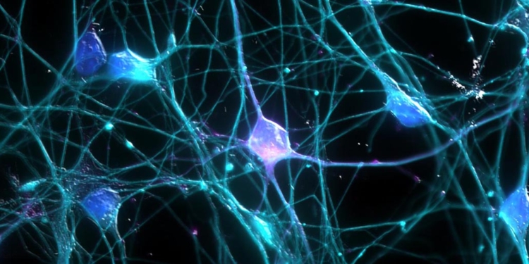 Photo credit: Ardy Rahman/UCI Research