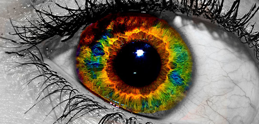 Visual Hallucinations