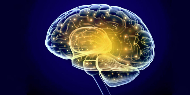 (Photo credit: Alexandr Mitiuc/Fotolia)