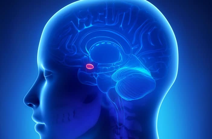 Neuroimaging study finds heightened brain response to seeing people of a  different ethnicity