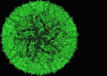 This is a cryo-electron micrograph of surface proteins of a Zika virus particle. (Protein Data Bank)