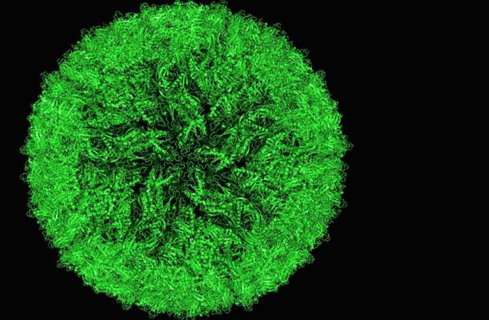 This is a cryo-electron micrograph of surface proteins of a Zika virus particle. (Protein Data Bank)