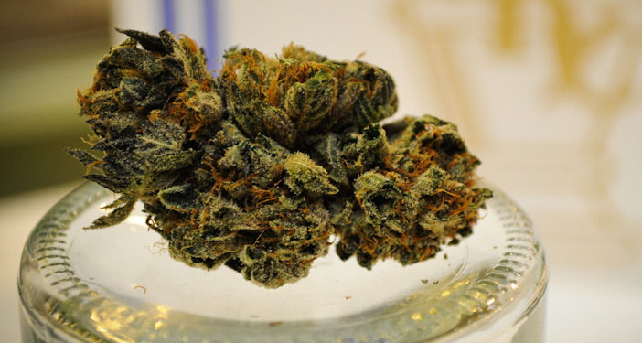 A marijuana bud. (Photo credit: Dank Depot)