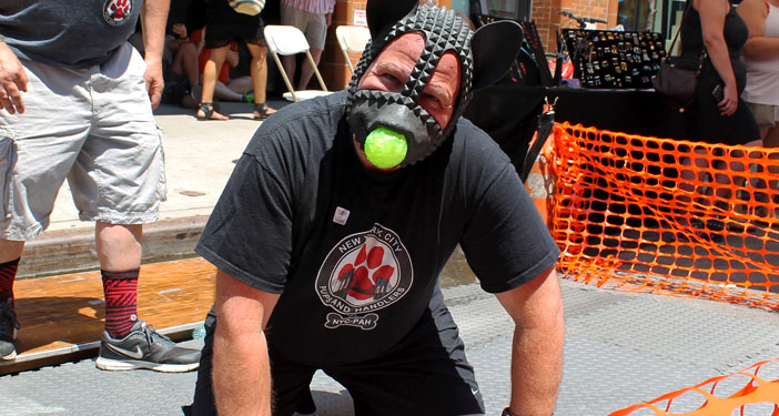 Member of (New York Pups and Handlers at the Folsom Street East Festival. (Photo credit: istolethetv/Flickr)