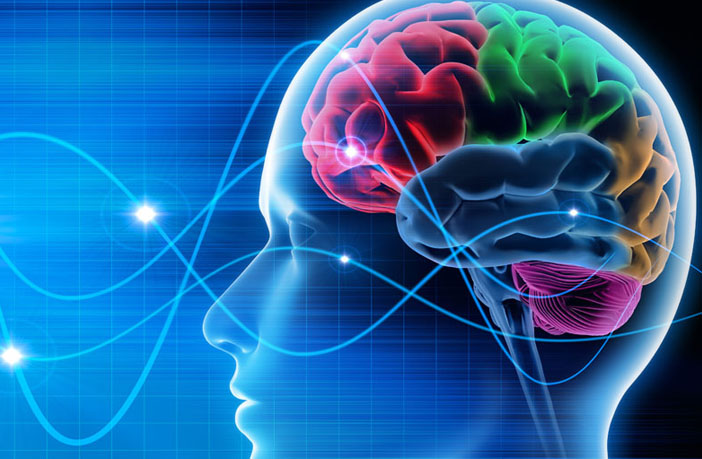 cannabis users exhibit increased brain activity at rest study finds