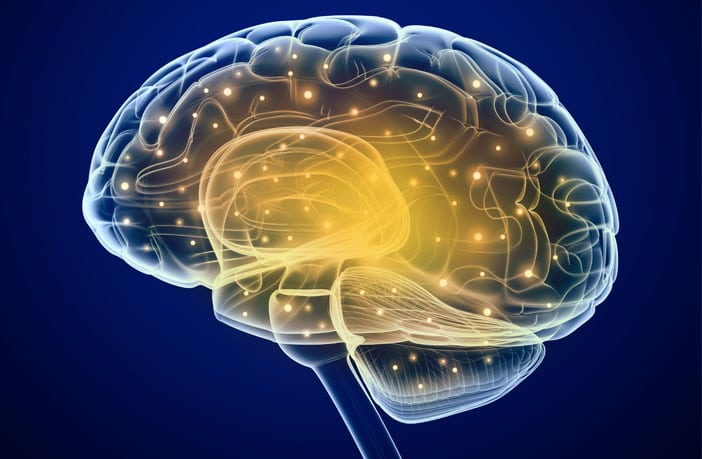 brain sexual arousal Intrnet is for porn