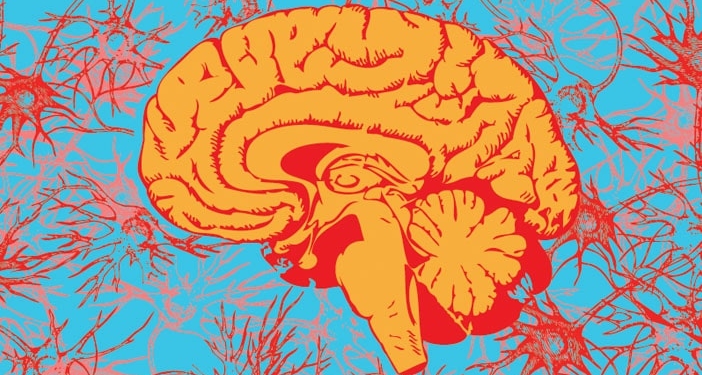 Lsd Alters The Neural Response To Music In A Number Of Brain Regions Study Finds
