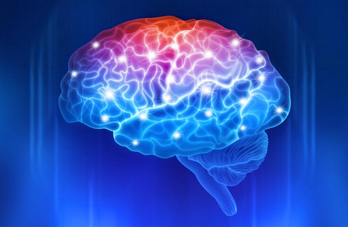 Study Suggests Brain Inflammation Is >> Inflammation Affects Our Decision Making Patterns Study Suggests Study Suggests Brain Inflammation Is >> Inflammation Affects Our Decision Making Patterns Study Suggests