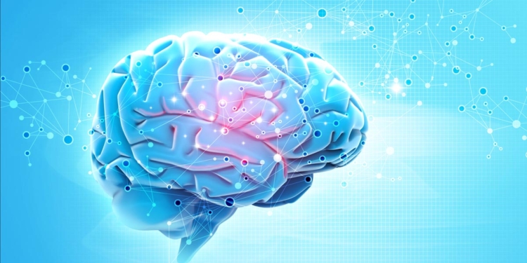 brain-750x375.jpg