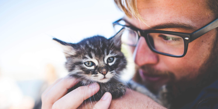 Women rate men as less masculine and less dateable when they've got a cat  in their lap