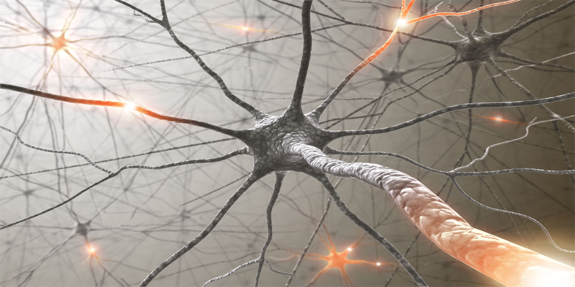 Scientists establish how addictive medicine hijack herbal praise processing