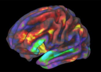 New neuroscience study shows how receiving feedback about your child impacts your brain activity