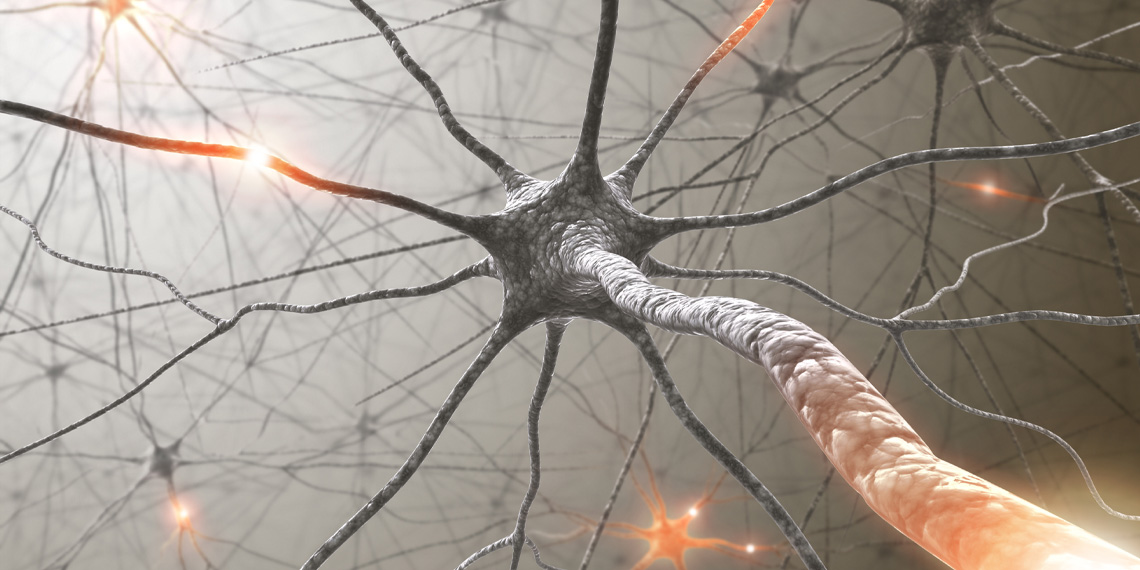 Extreme excitability of a specific type of neuron linked to sleep problems in mice, study finds