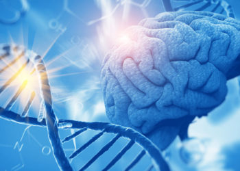 New research indicates political knowledge facilitates the expression of innate ideological predispositions