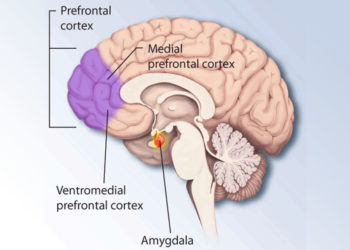 (Photo credit: National Institute of Mental Health)