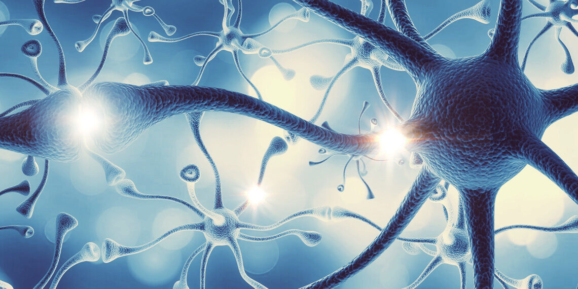 Neuroscientists gain a deeper understanding of how LSD affects molecular brain activity