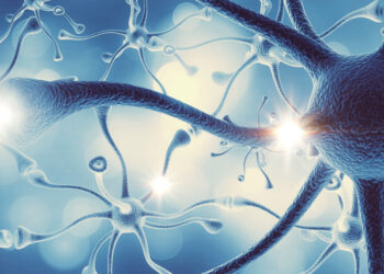 Neuroscientists gain a deeper understanding of how LSD affects molecular brain activity