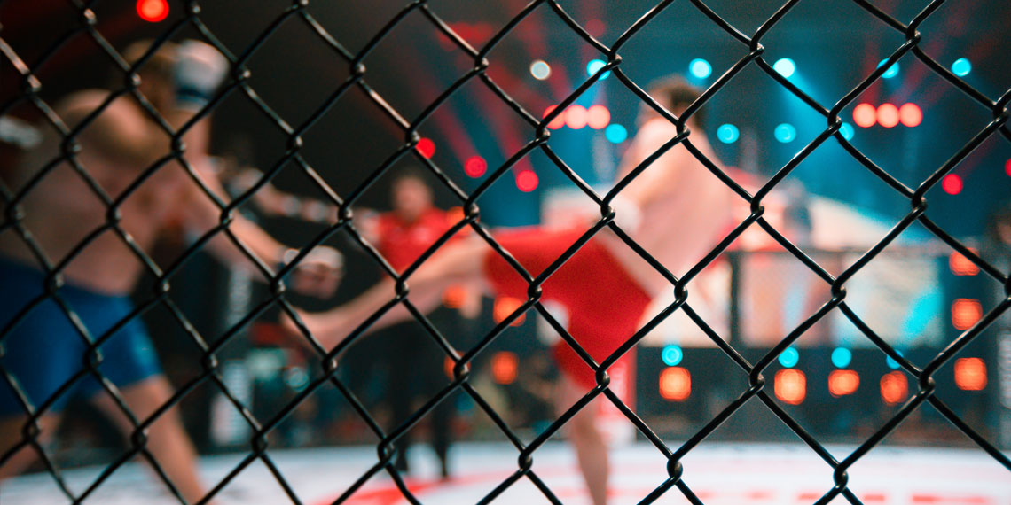 Ufc Cage Fence