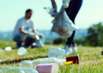 Dark personalities perceive pro-environmental behaviors as more costly and less beneficial