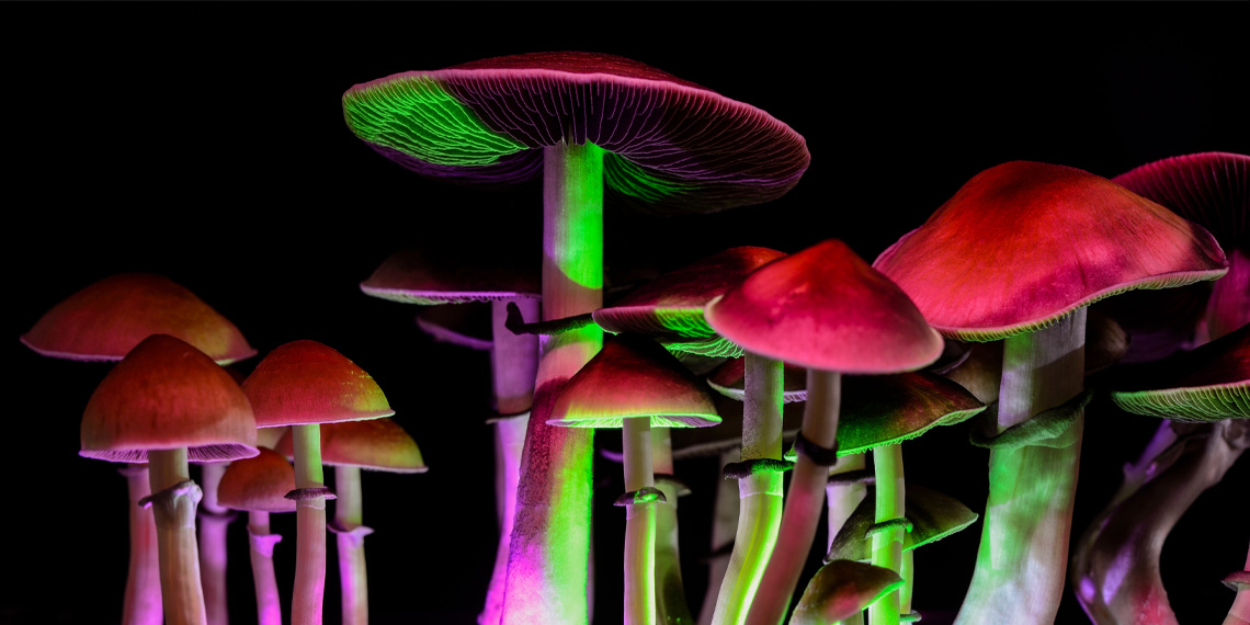 magic mushrooms effects