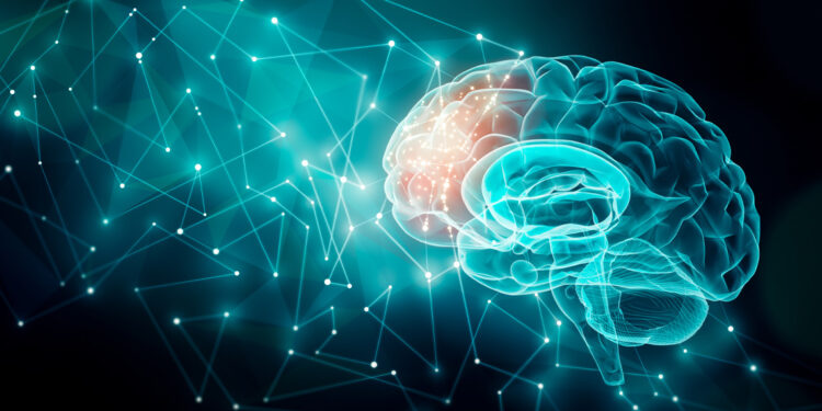 brain-750x375.jpg